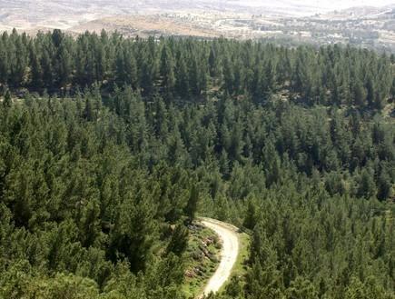 Yagorov Chalet Yavneʼel Exteriör bild